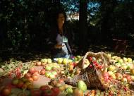 Mostra-mercato Vanzo Floreale 2010